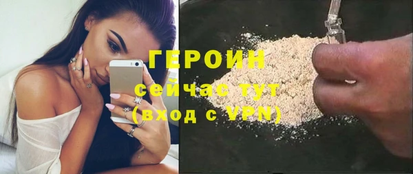 стаф Дмитров