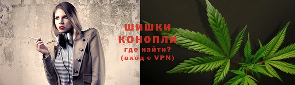 стаф Дмитров