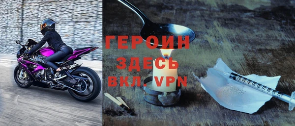 стаф Дмитров