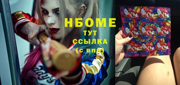 стаф Дмитров