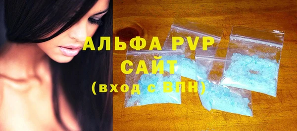 стаф Дмитров
