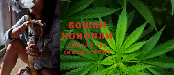 стаф Дмитров