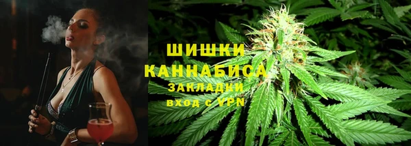 стаф Дмитров