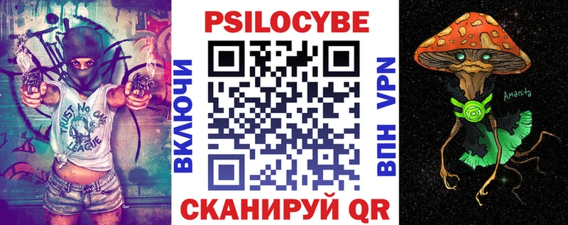 Купить  Вышний Волочёк  Псилоцибиновые грибы GOLDEN TEACHER 